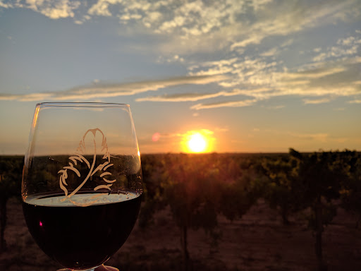 Winery «Pheasant Ridge Winery», reviews and photos, 3507 E County Road 5700, Lubbock, TX 79403, USA