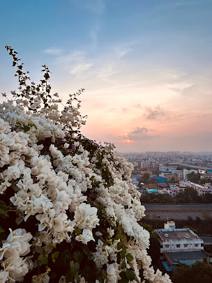 Google Maps image 14