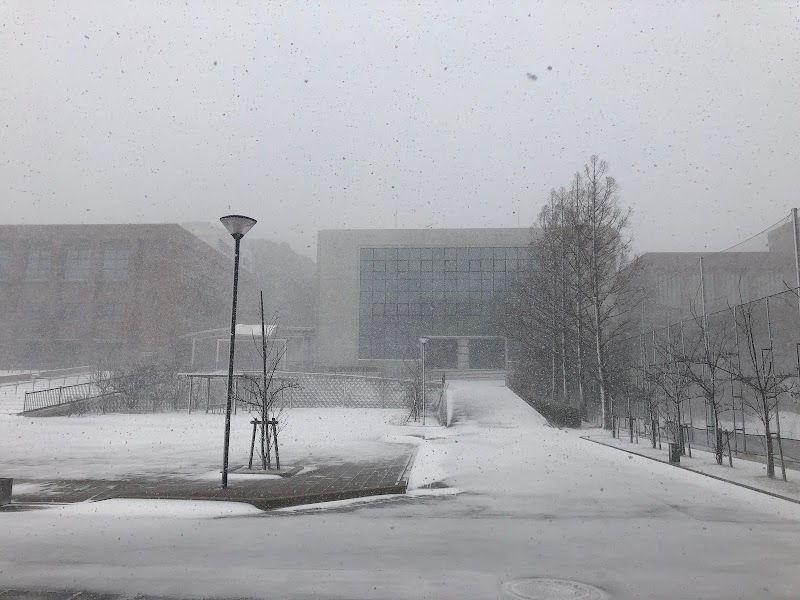 下関市立大学 山口県下関市大学町 公立大学 大学 グルコミ