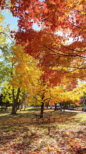 Park «Langford Park», reviews and photos, 30 Langford Park, St Paul, MN 55108, USA