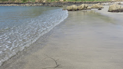 Foto von Porthbeer Cove befindet sich in natürlicher umgebung