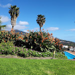 Photo n°1 de l'avis de A... fait le 05/03/2022 à 22:38 sur le  Hotel Quinta Alegre à Estreito da Calheta