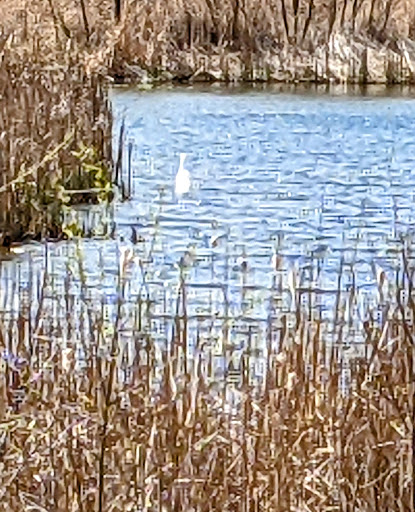Bird Watching Area «Jelke Creek Bird Sanctuary», reviews and photos, Boncosky Rd, Dundee Township, IL 60118, USA