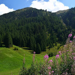 Photo n°3 de l'avis de Marina.a fait le 29/08/2019 à 20:37 sur le  Kradorfer Alm à Gsies
