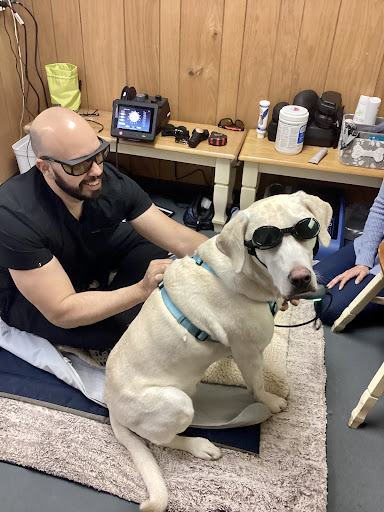 Alpha Animal Rehabilitation and Fitness image