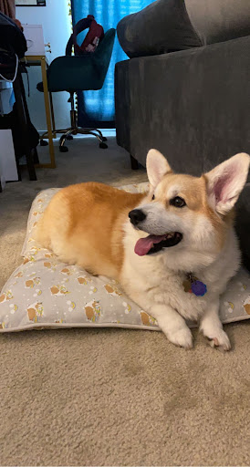 15225 Jefferson Hwy, Baton Rouge, LA 70817, USA