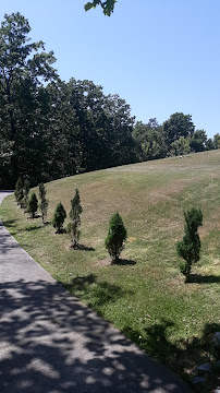 Quality Plus Lawn Care 5+years - Photo 9 - Car repair in Ringgold, GA, Chattanooga