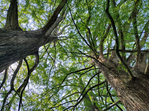 Nature Preserve «Shaw Nature Reserve», reviews and photos, 307 Pinetum Loop Rd, Gray Summit, MO 63039, USA