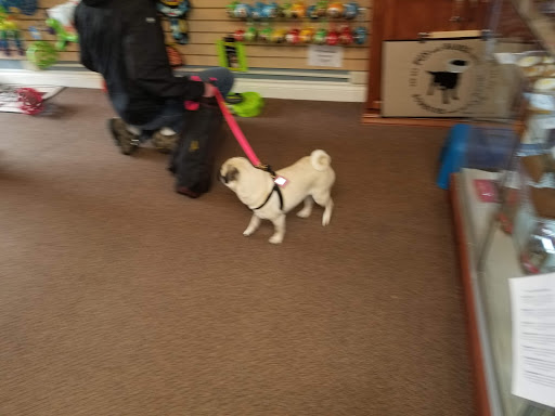 Pet Supply Store «Decadent Dogs», reviews and photos, 206 S River Ave, Holland, MI 49423, USA