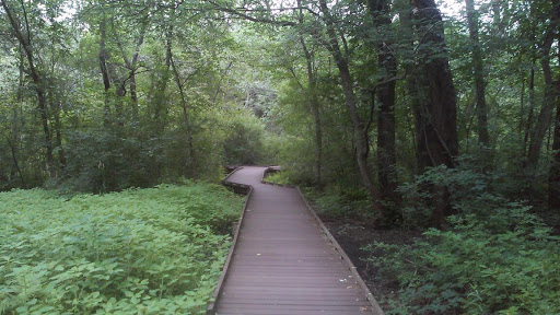 Nature Preserve «Dolan Pond Conservation Area», reviews and photos, Webster Park, West Newton, MA 02465, USA