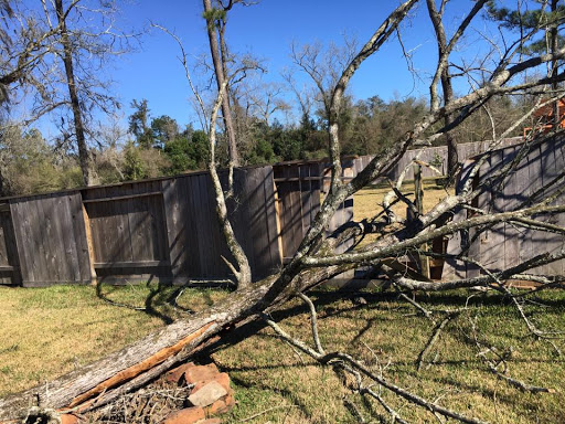 Highpoint Tree Care | Tree Service & Tree Removal Houston