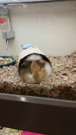 Pet Supply Store «Pet Supplies Plus», reviews and photos, 350 Ramapo Valley Rd #28, Oakland, NJ 07436, USA