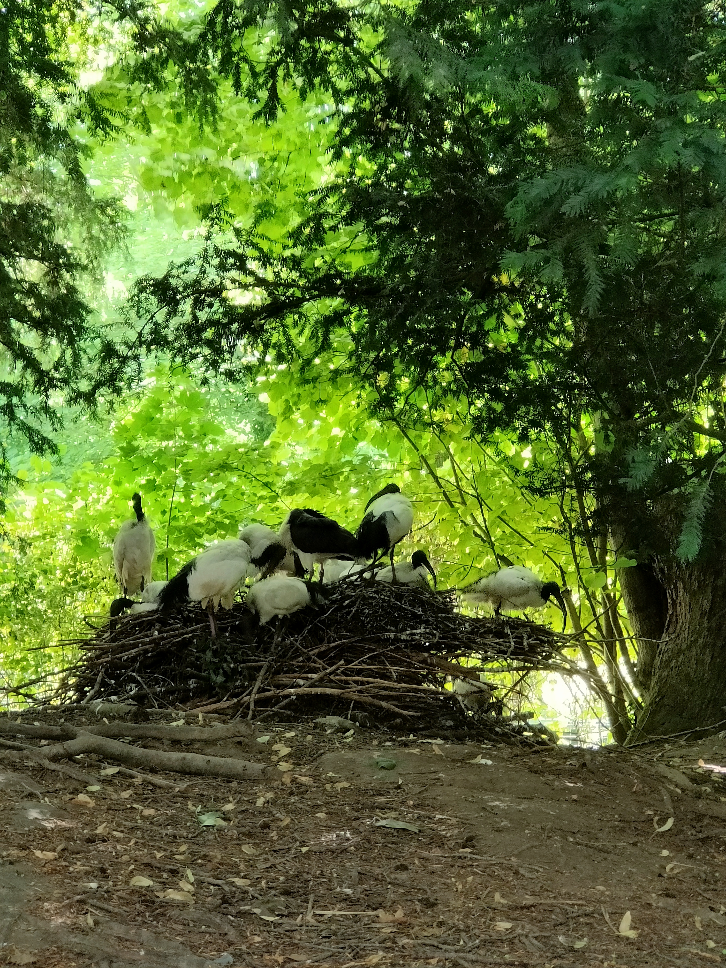 Photo n° 12 de l'avis de Claude.a fait le 03/08/2023 à 20:56