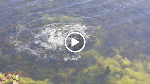 Park «Heritage Park», reviews and photos, 600 Spinks Rd, Flower Mound, TX 75028, USA