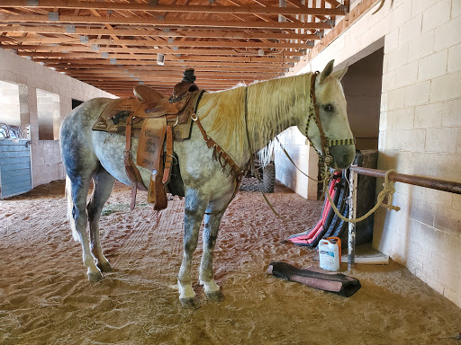 Horse rental service El Paso