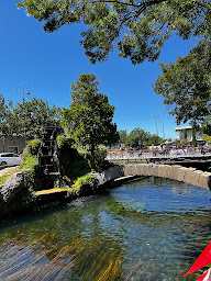 Photo n°18 de La Rose d'Asie à L'Isle-sur-la-Sorgue ()