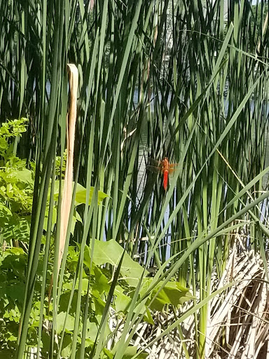 Health Club «Pure Austin Fitness», reviews and photos, 4210 W Braker Ln, Austin, TX 78759, USA