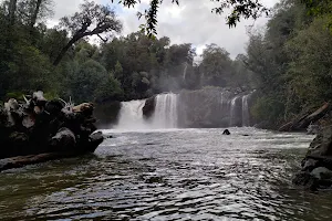 Puyehue National Park image