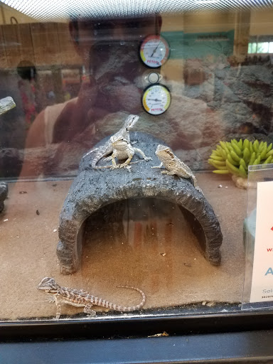 Pet Supply Store «Petco Animal Supplies», reviews and photos, 11331 W Broad St #151, Glen Allen, VA 23060, USA