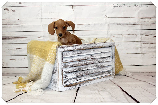 Pet Supply Store «Safari Stans Pet Center», reviews and photos, 142 Amity Rd, New Haven, CT 06515, USA