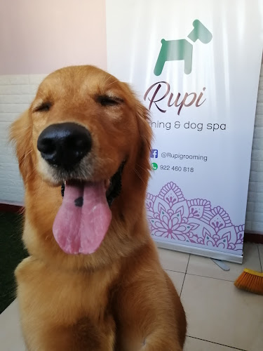 Rupi - Grooming & Dog spa - Peluquería