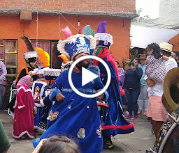 REAL Coyoacan photo