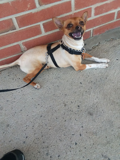 Pet Supply Store «PetSmart», reviews and photos, 1125 Quentin Rd, Lebanon, PA 17042, USA