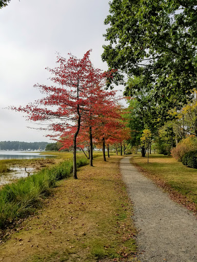 Park «Masconomo Park», reviews and photos, 60 Beach St, Manchester-by-the-Sea, MA 01944, USA