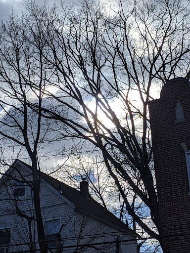 Supermarket «The Harrison Market», reviews and photos, 355 Halstead Ave, Harrison, NY 10528, USA