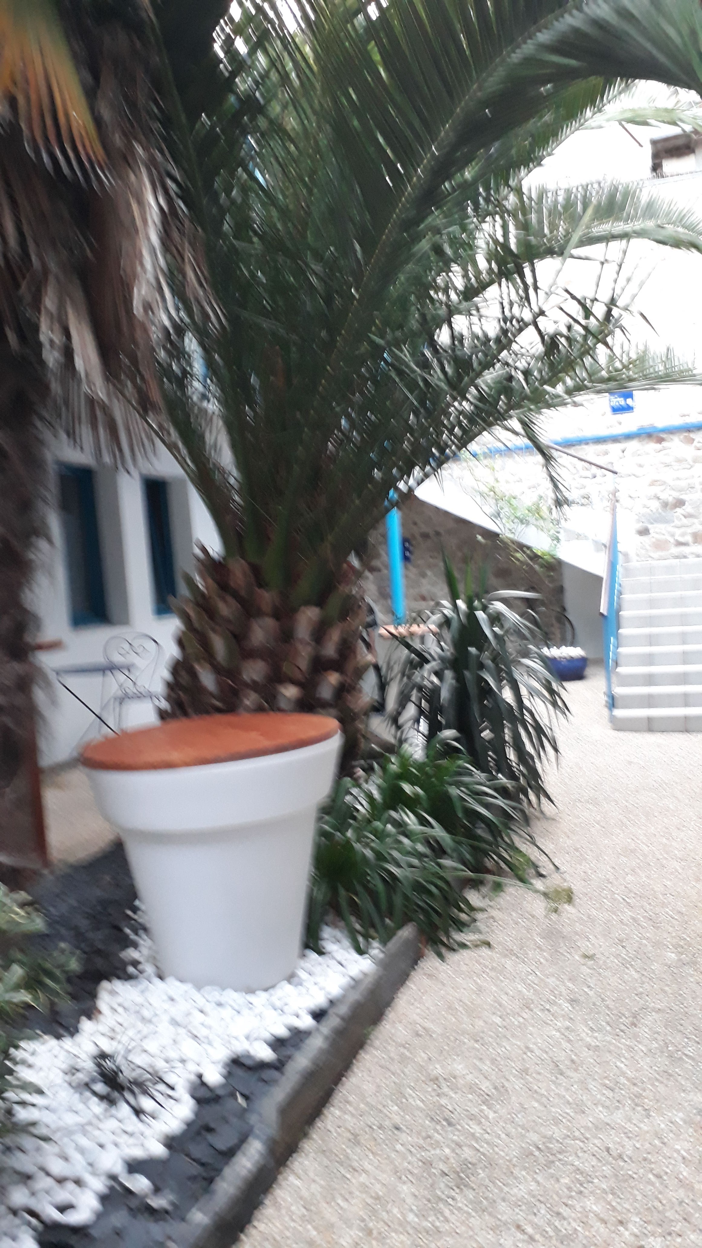 Photo n° 1 de l'avis de Thierry.O fait le 30/09/2019 à 19:27
