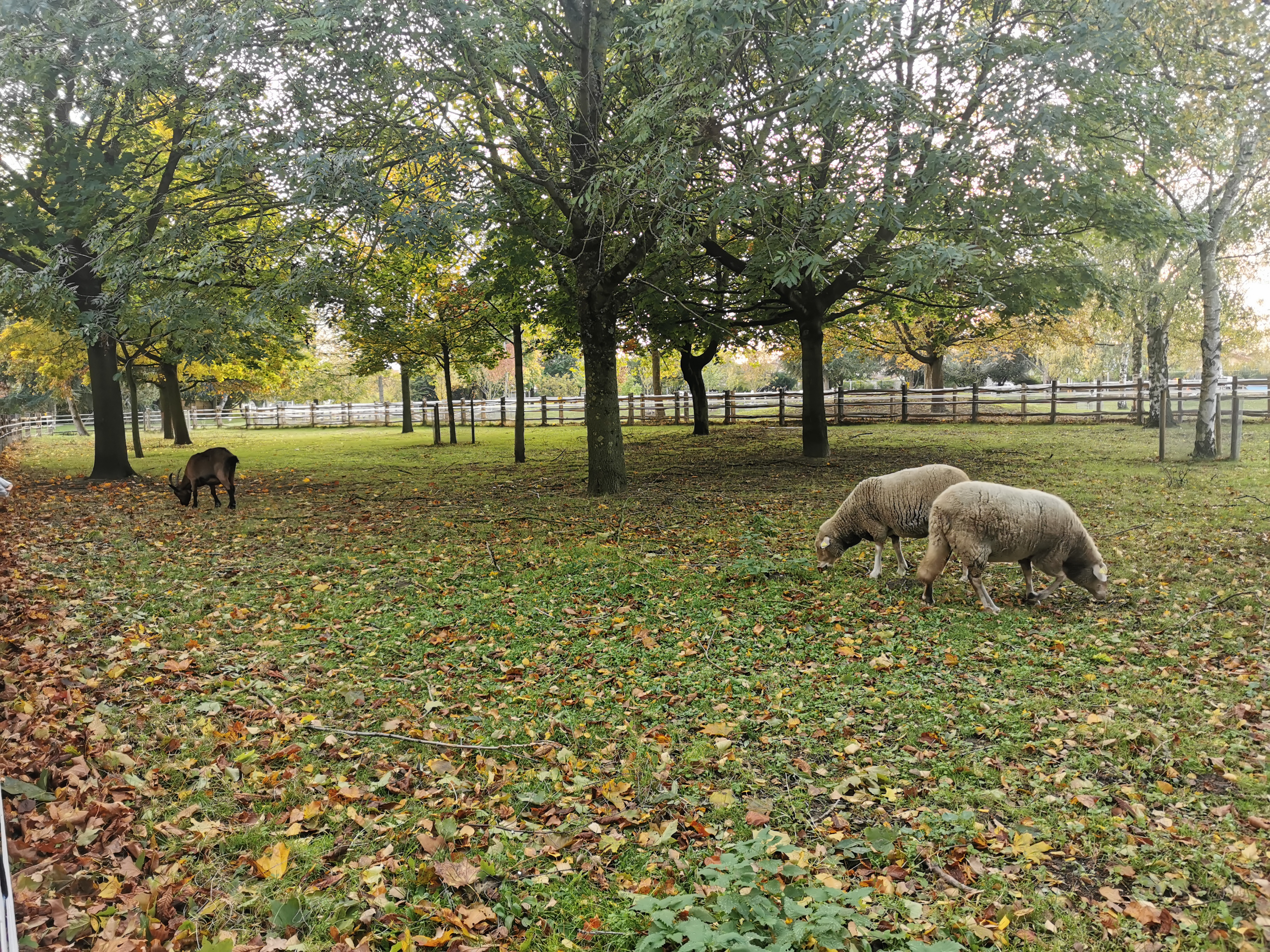 Photo n° 9 de l'avis de Imane. fait le 26/10/2021 à 08:30