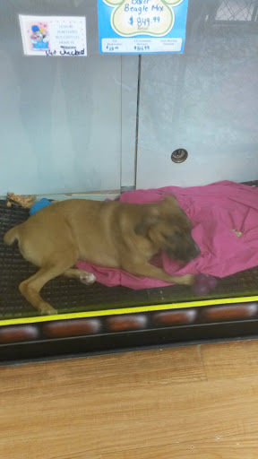 Pet Store «Pets Plus - Quakertown», reviews and photos, 117 S West End Blvd, Quakertown, PA 18951, USA