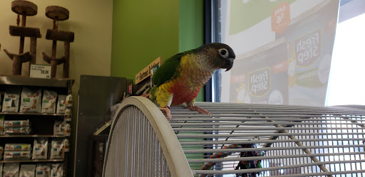 Pet Supply Store «Pet Supplies Plus», reviews and photos, 1810 Declaration Dr, Independence, KY 41051, USA