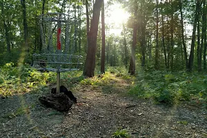 Roscommon Disc Golf Course image