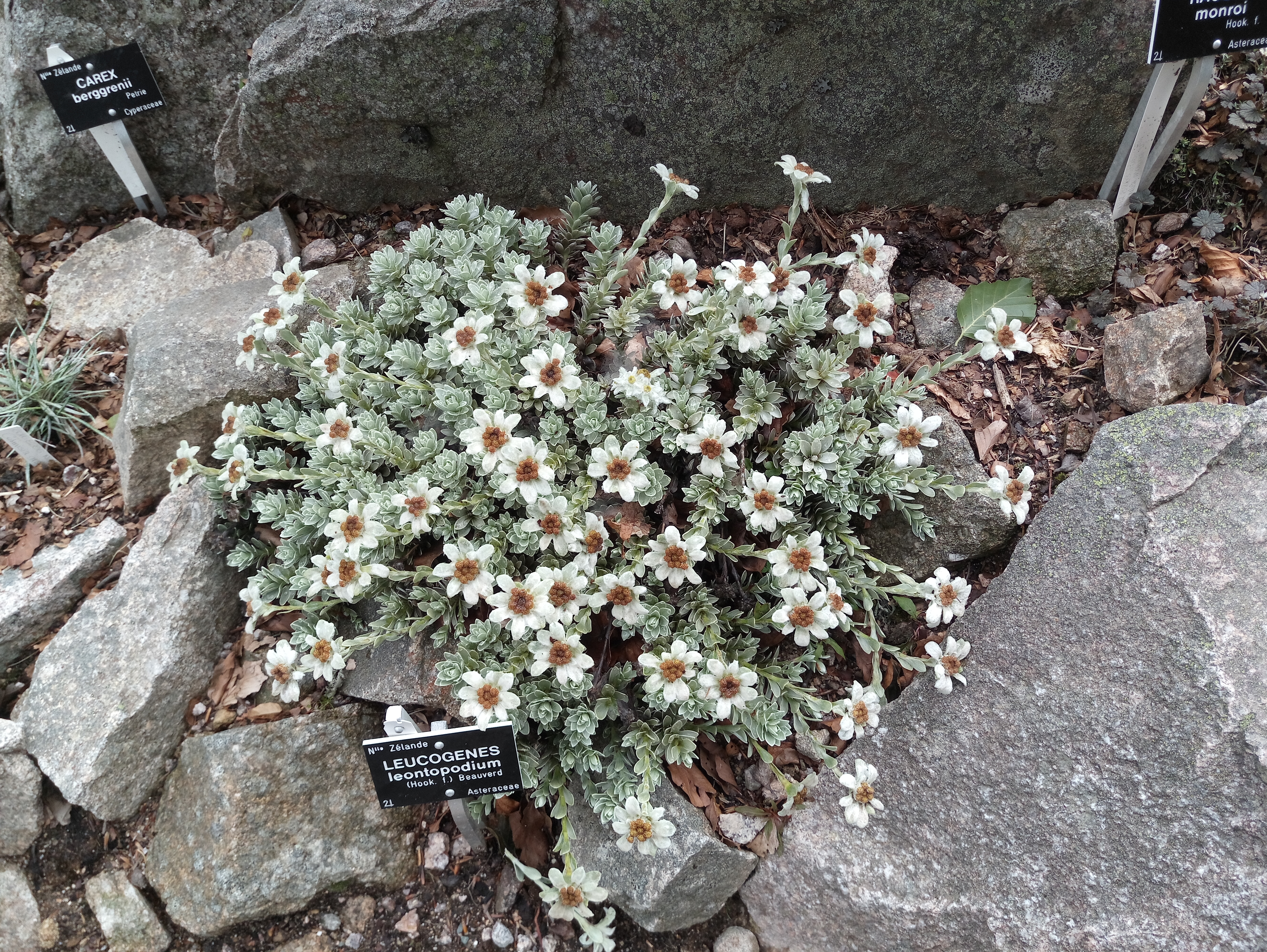 Photo n° 5 de l'avis de Pascal.a fait le 31/07/2019 à 06:36