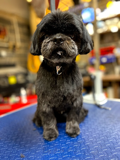 Knotty Dog Grooming