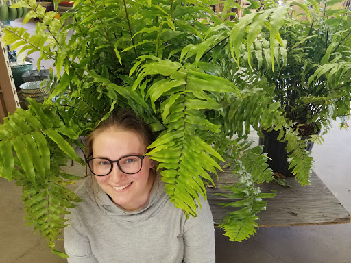 Florist «La Crosse Floral», reviews and photos, 2900 Floral Ln, La Crosse, WI 54601, USA