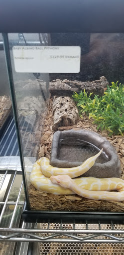Reptile Store «LLLReptile & Supply Las Vegas», reviews and photos, 8450 W Sahara Ave #105, Las Vegas, NV 89117, USA
