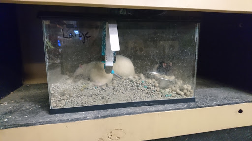 Pet Store «Pet Land», reviews and photos, 1450 Fort Campbell Blvd, Clarksville, TN 37042, USA