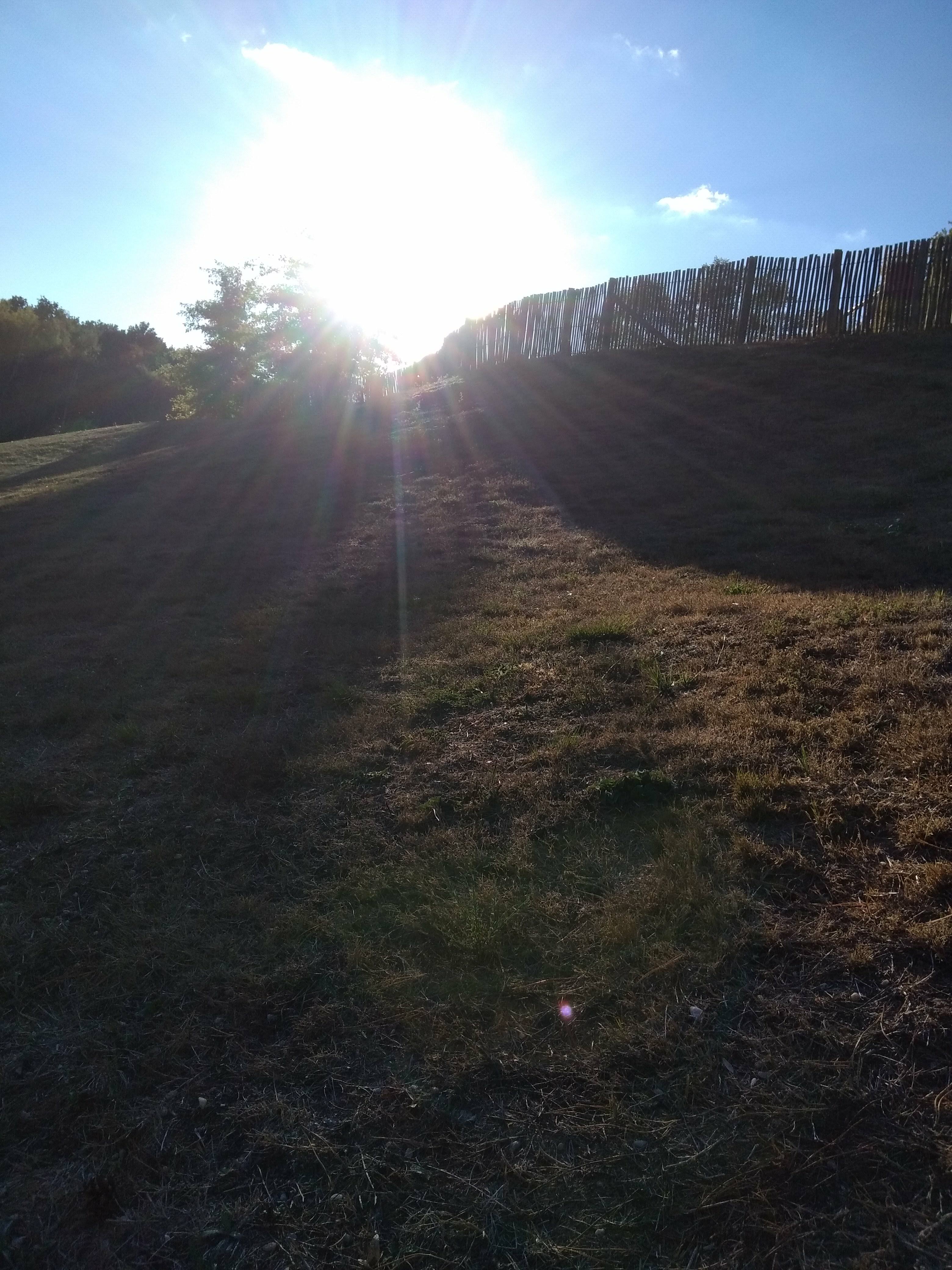 Photo n° 1 de l'avis de Moniette. fait le 26/10/2018 à 14:04