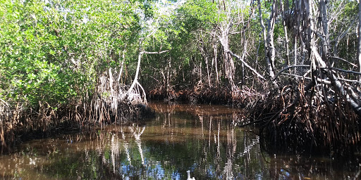 Boat Tour Agency «Everglades Excursions», reviews and photos, 1010 6th Ave S #1, Naples, FL 34102, USA