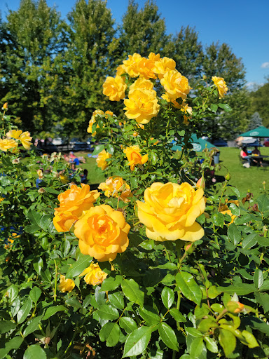 Winery «Warwick Valley Winery & Distillery», reviews and photos, 114 Little York Rd, Warwick, NY 10990, USA