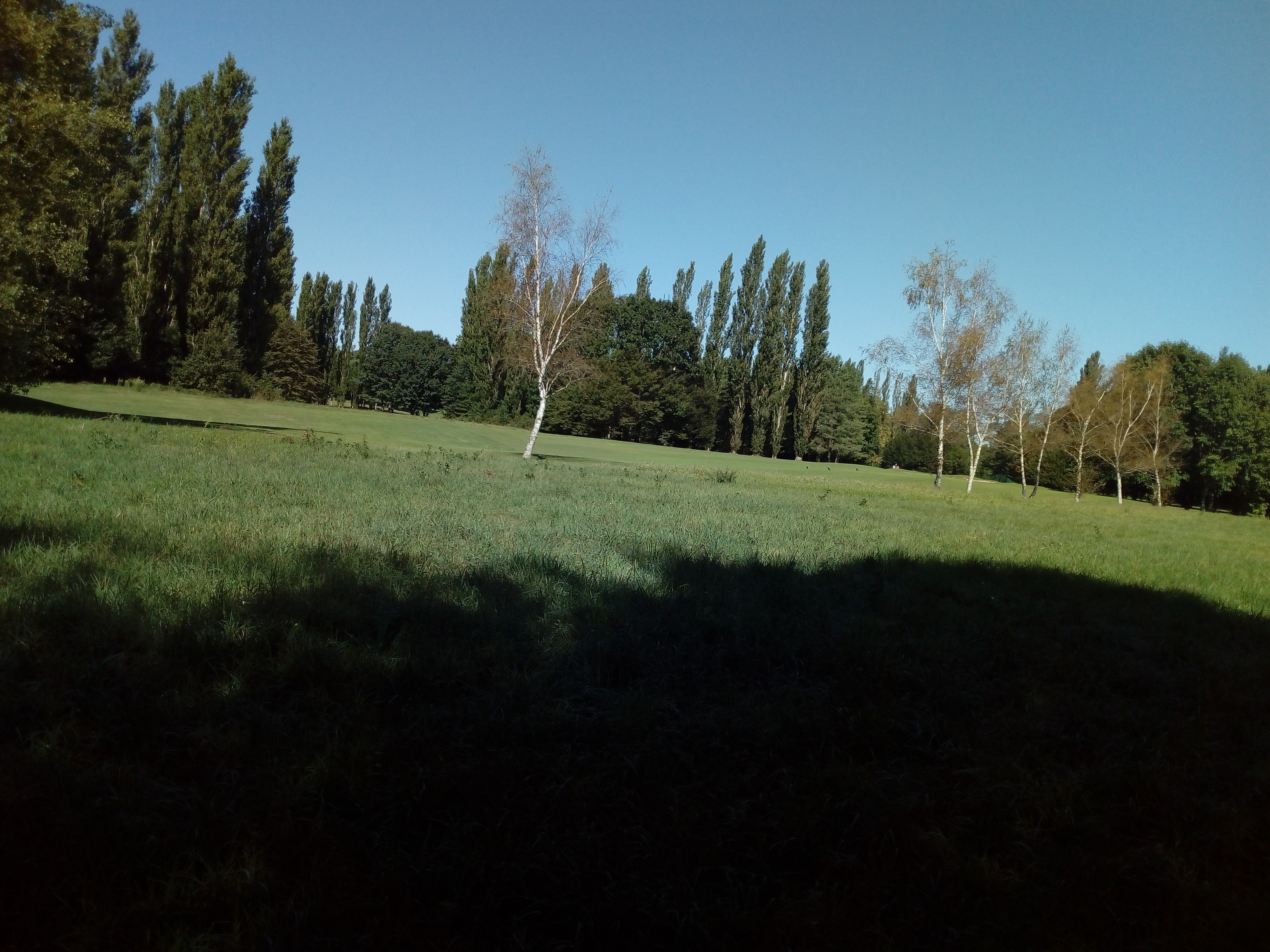 Photo n° 2 de l'avis de Delbart.e fait le 29/09/2019 à 12:17