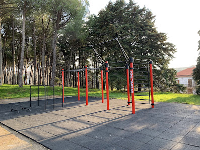 Parco Calisthenics & Street Workout IronLink - Larino Contrada Cappuccini, 86035 Larino CB, Italia