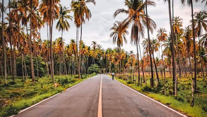 Coyuca de Benítez