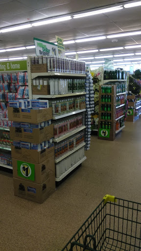 Dollar Store «Dollar Tree», reviews and photos, 415 Georgia Ave, Fort Pierce, FL 34950, USA