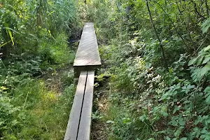 Nassau-Suffolk Greenbelt Trail image