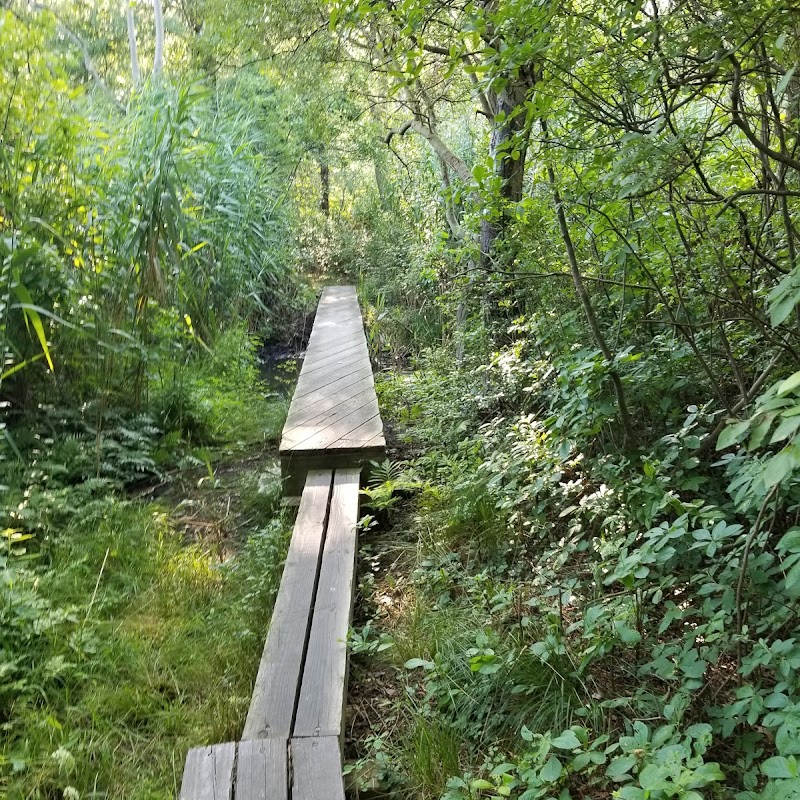 Nassau-Suffolk Greenbelt Trail