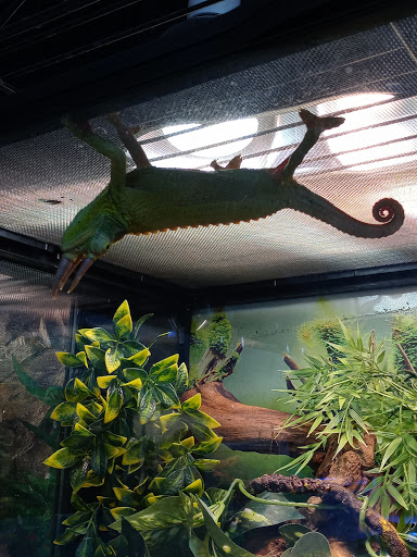 Pet Store «Pet Cove», reviews and photos, 820 E Center St, Kingsport, TN 37660, USA