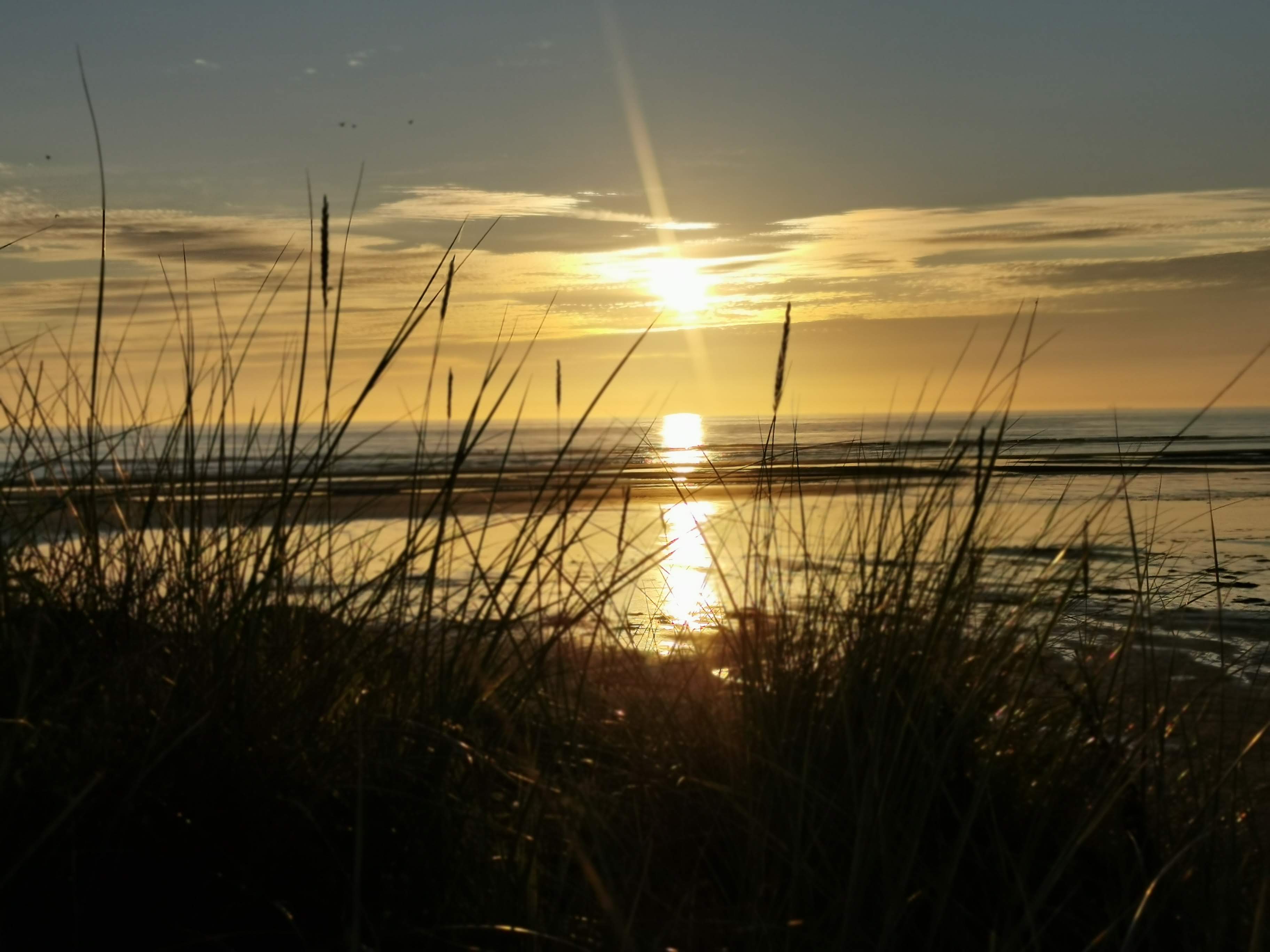 Photo n° 1 de l'avis de Arnaud.o fait le 16/08/2021 à 19:30